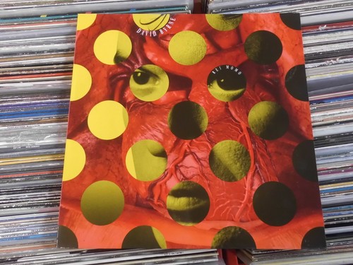 David byrne rei - david,
